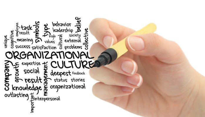 Improving Workplace Culture&nbsp;101