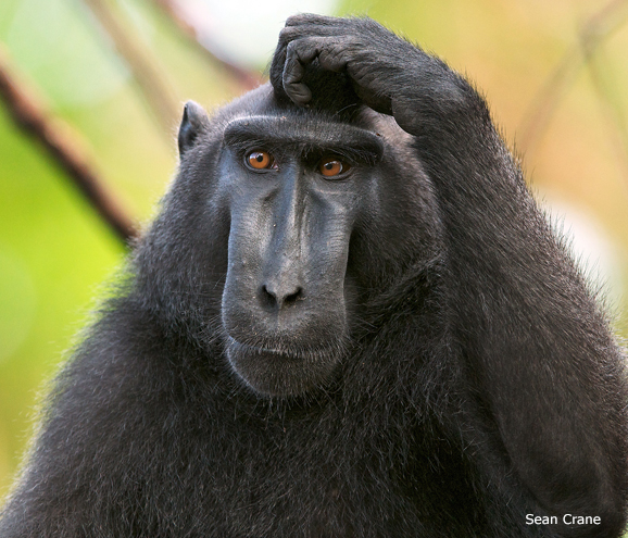 200 More Useful Phrases for Performance&nbsp;Reviews