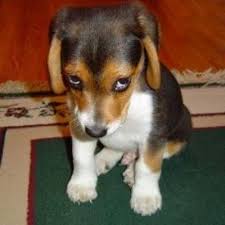 The Power of an&nbsp;Apology