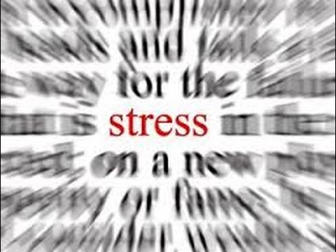 Take it down a notch: How to spot and diffuse workplace stress