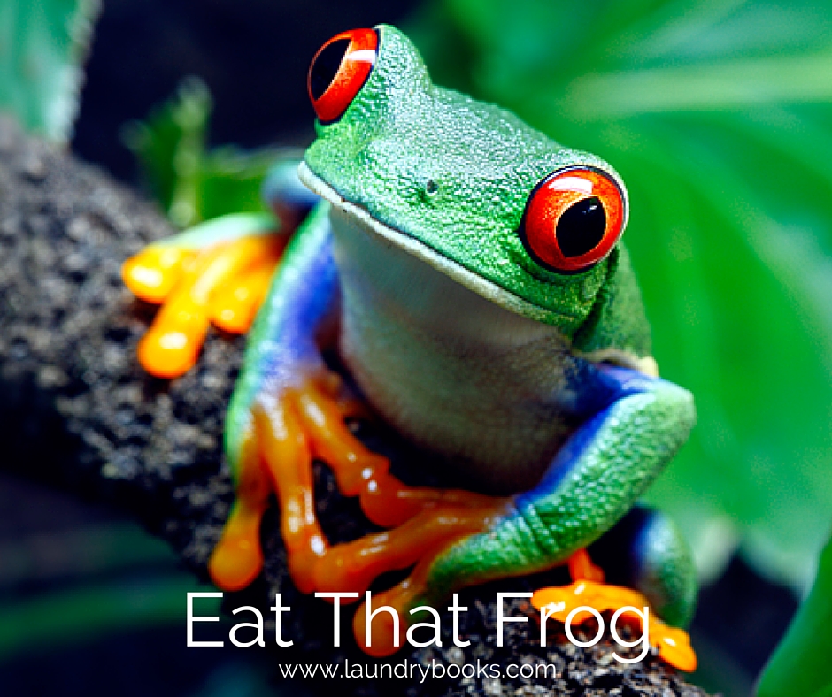 A Frog a Day Keeps Procrastination&nbsp;Away